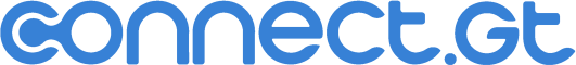 Connect.gt Logo